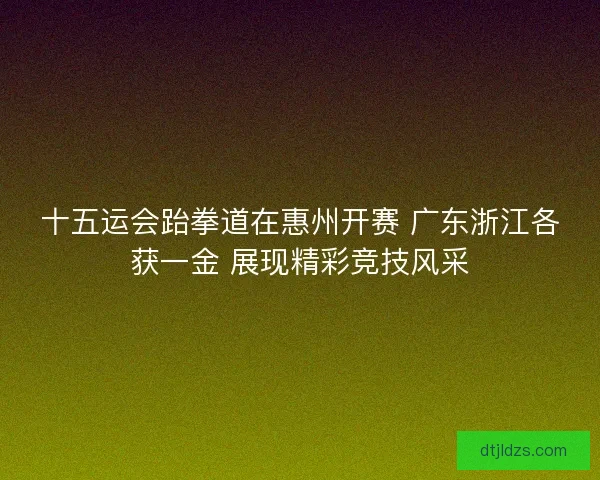 十五运会跆拳道在惠州开赛 广东浙江各获一金 展现精彩竞技风采